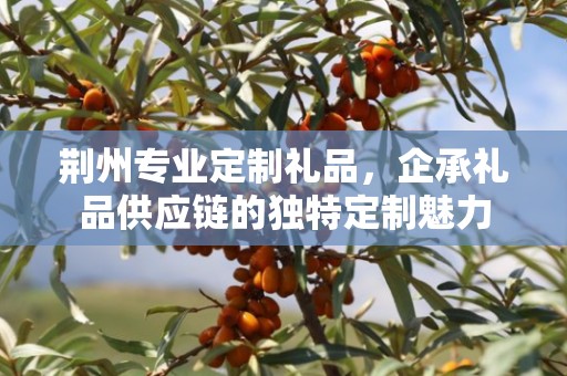荆州专业定制礼品，企承礼品供应链的独特定制魅力