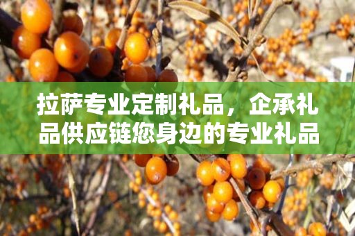 阿里专业定制礼品，打造独特礼品，满足个性需求